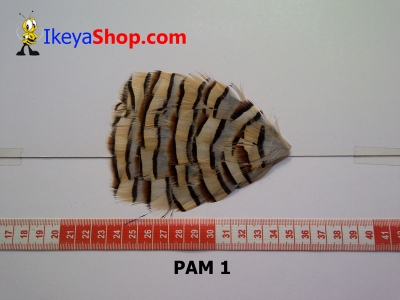 bulu PAD motif PAM 1   feather  large2